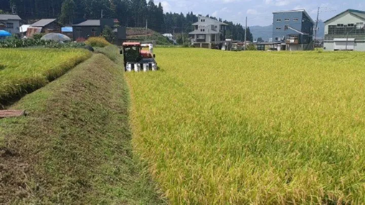 魚沼産コシヒカリの新米🌾